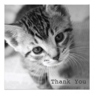 adorable_kitten_square_flat_thank_you_cards_invitation-r37514c0030a24cb6b1ac2b8979757791_zk9g1_324